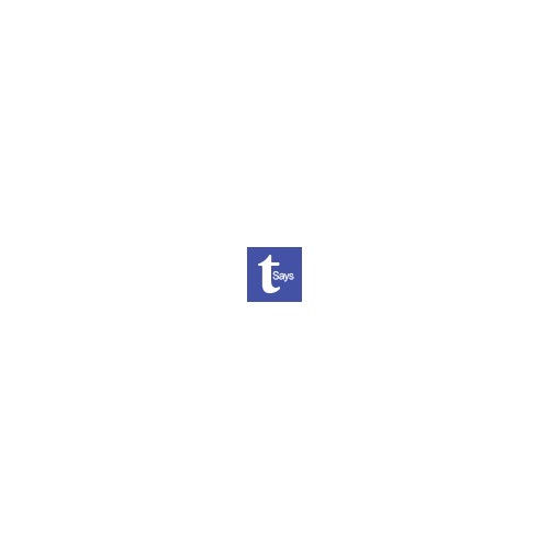 TalentSays职业价值观